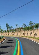 蘇州道路劃線反光漆多少錢一個平方？